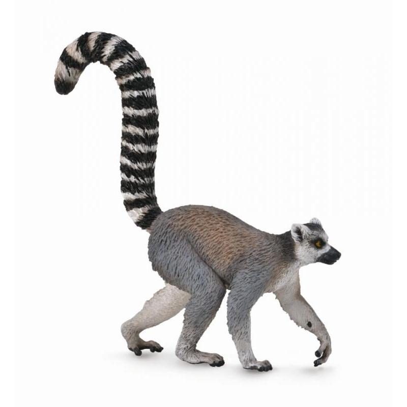 CollectA - Rembrandt the Ring-Tailed Lemur - CollectA - The Creative Toy Shop