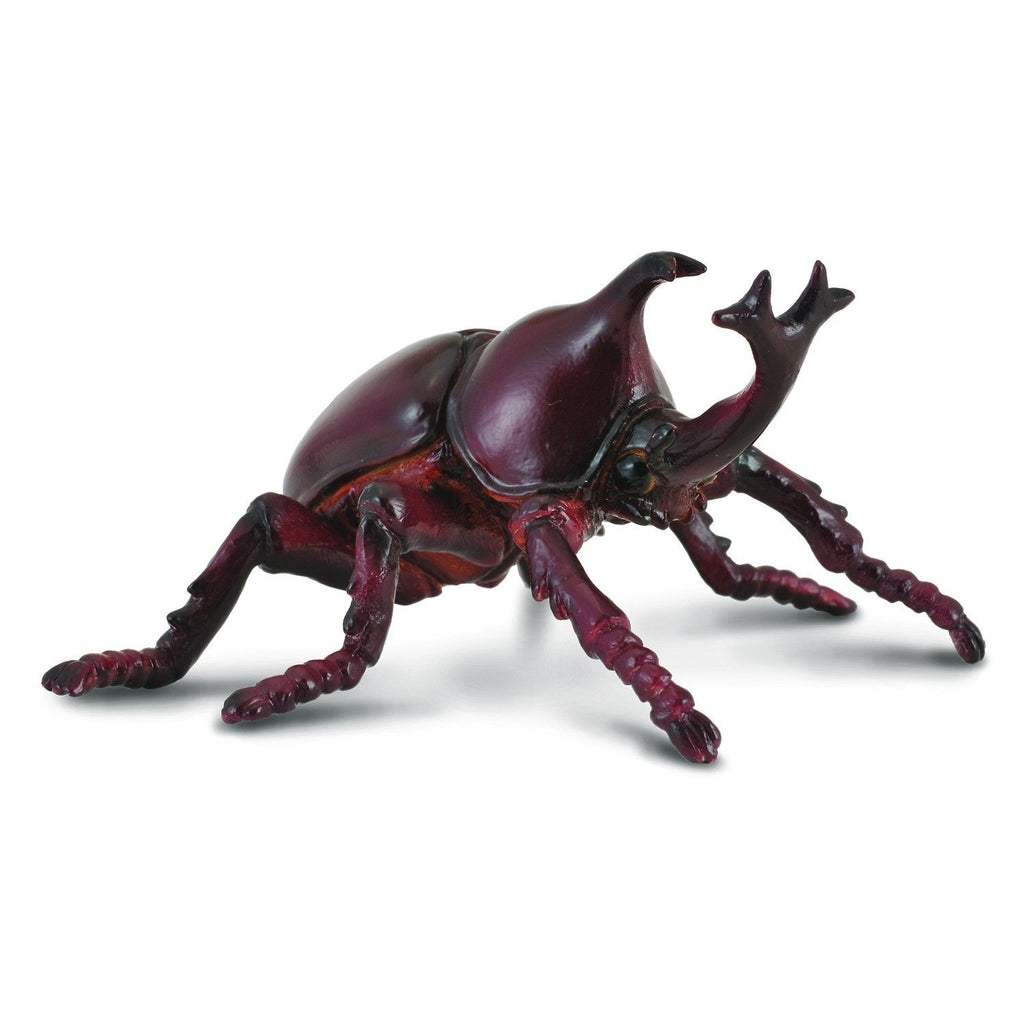 CollectA - Ricky the Rhinoceros Beetle - CollectA - The Creative Toy Shop