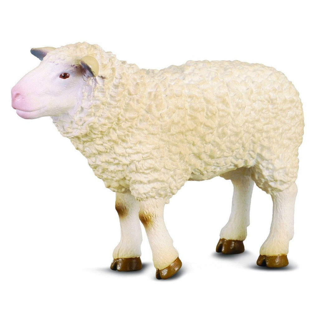 CollectA -  Sage the Sheep - CollectA - The Creative Toy Shop