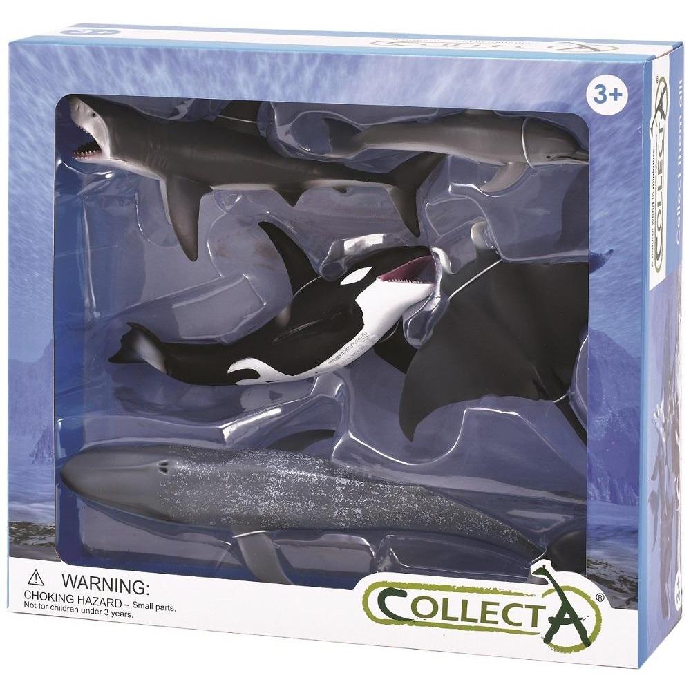 CollectA -  Sea Life 5pc Gift Set - CollectA - The Creative Toy Shop