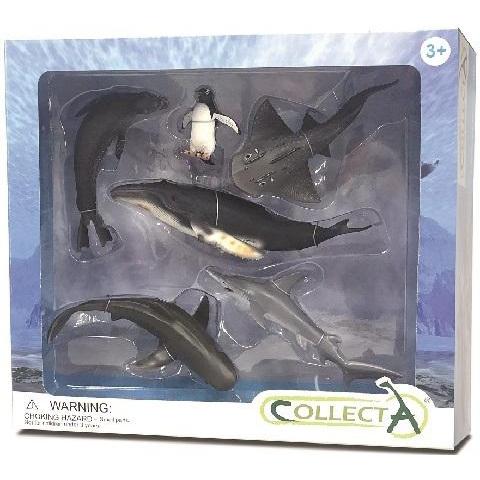CollectA -  Sea Life 6pc Gift Set - CollectA - The Creative Toy Shop