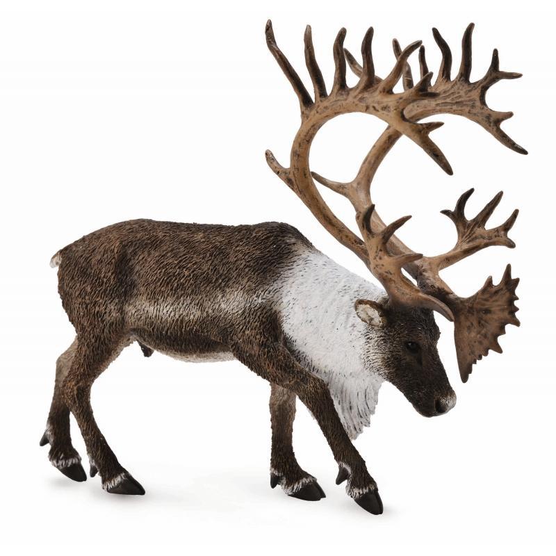 CollectA - Western the Woodland caribou - CollectA - The Creative Toy Shop
