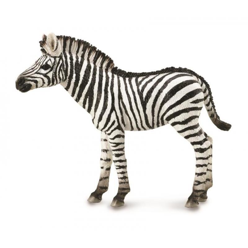 CollectA - Zahra the Zebra Foal - CollectA - The Creative Toy Shop