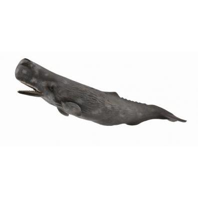 CollectA - Scarlett the Spermwhale - CollectA - The Creative Toy Shop