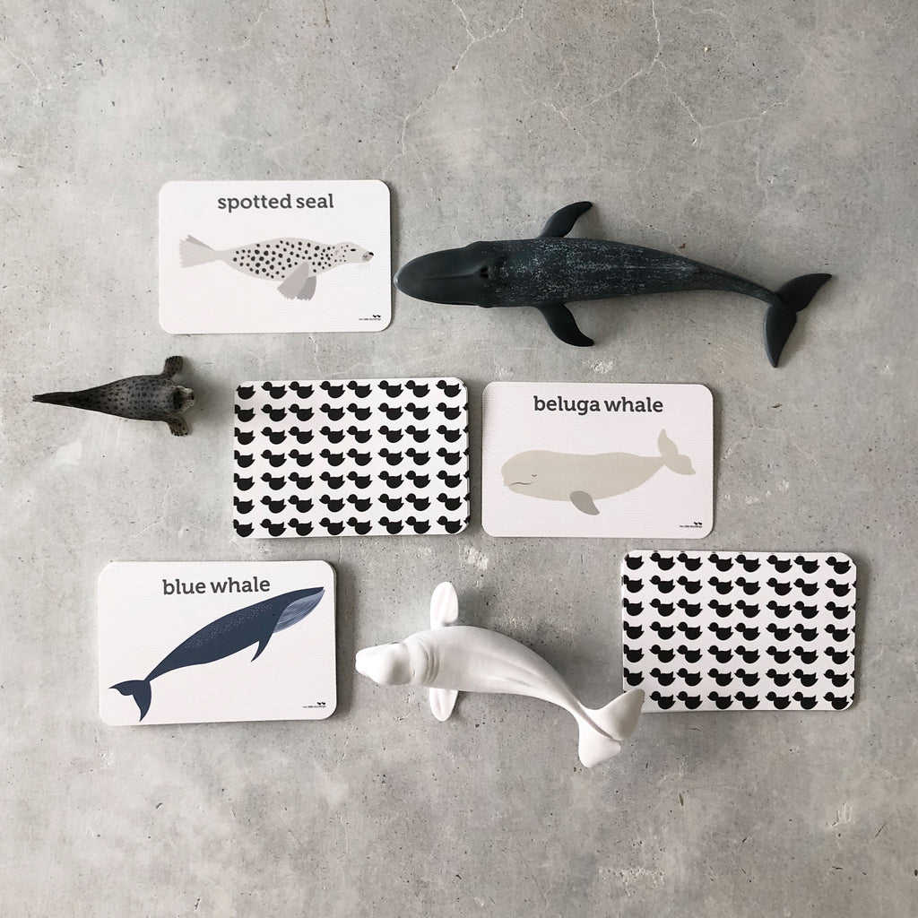 Flashcard and Animals Set - Sealife - The Creative Toy Shop - The Creative Toy Shop