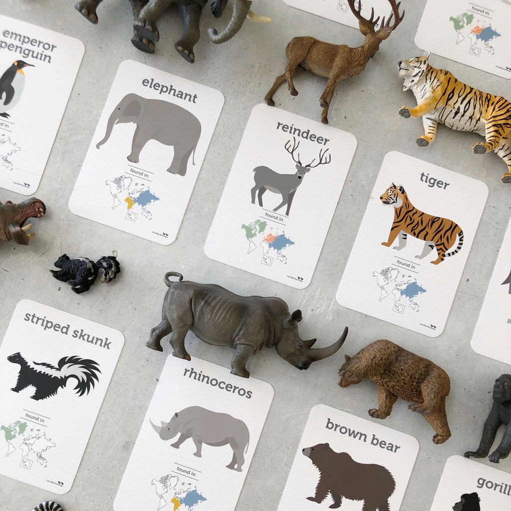 Flashcard and Animals Set - World Animals - CollectA - The Creative Toy Shop