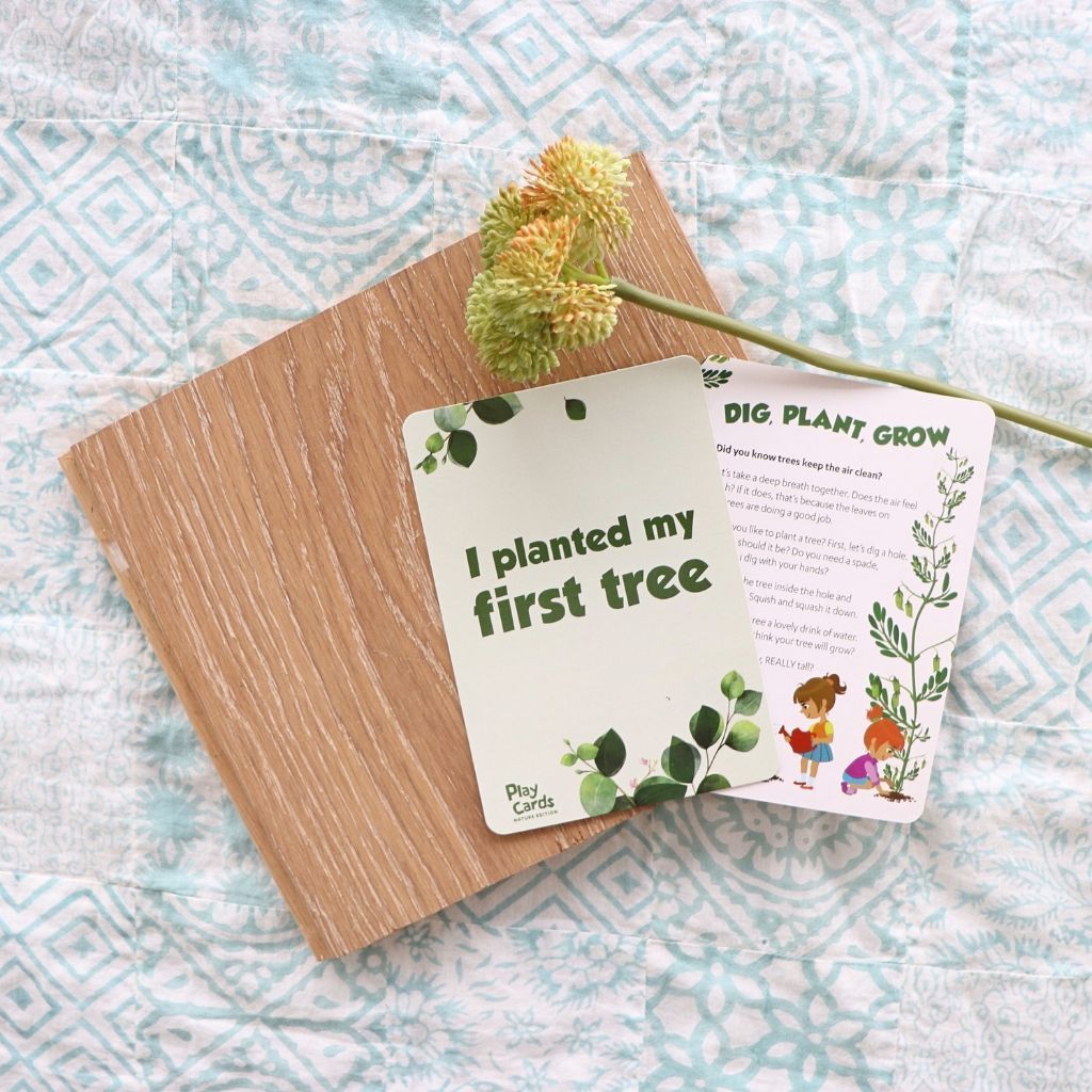 Jellystone Nature Play Cards - Jellystone Designs - The Creative Toy Shop