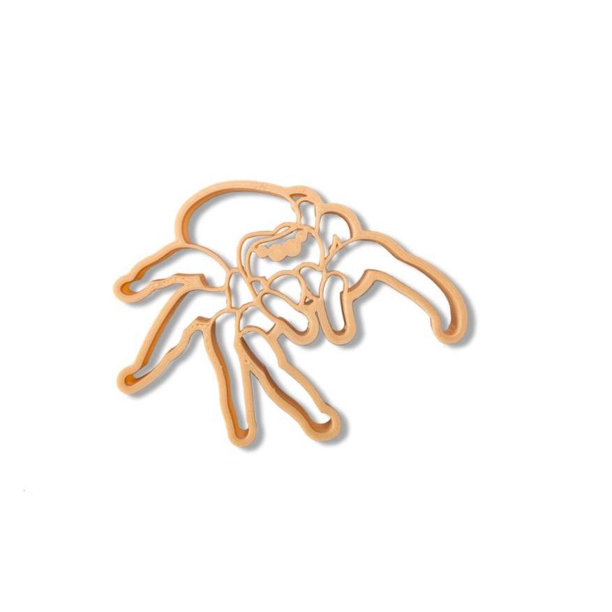 Kinfolk & Co Eco Cutter - Jumping Spider - Kinfolk - The Creative Toy Shop
