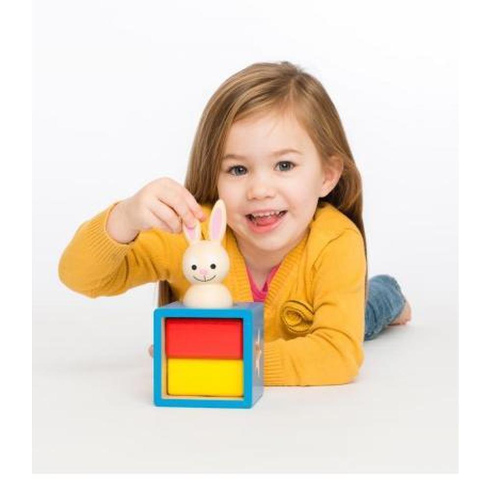 Smart Games - Bunny Boo - Smart Games - The Creative Toy Shop